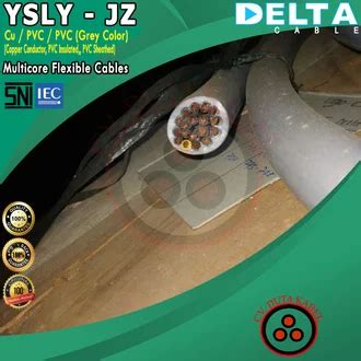 ysly jz 2024.